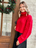 Lindsay Turtleneck Sweater