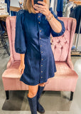 Elizabeth Navy Suede Dress